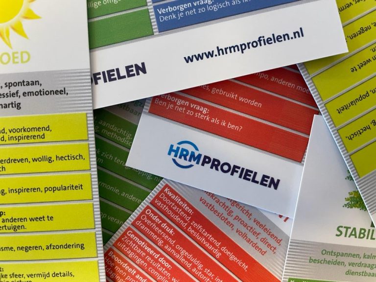 DISC Kaarten HRM Profielen