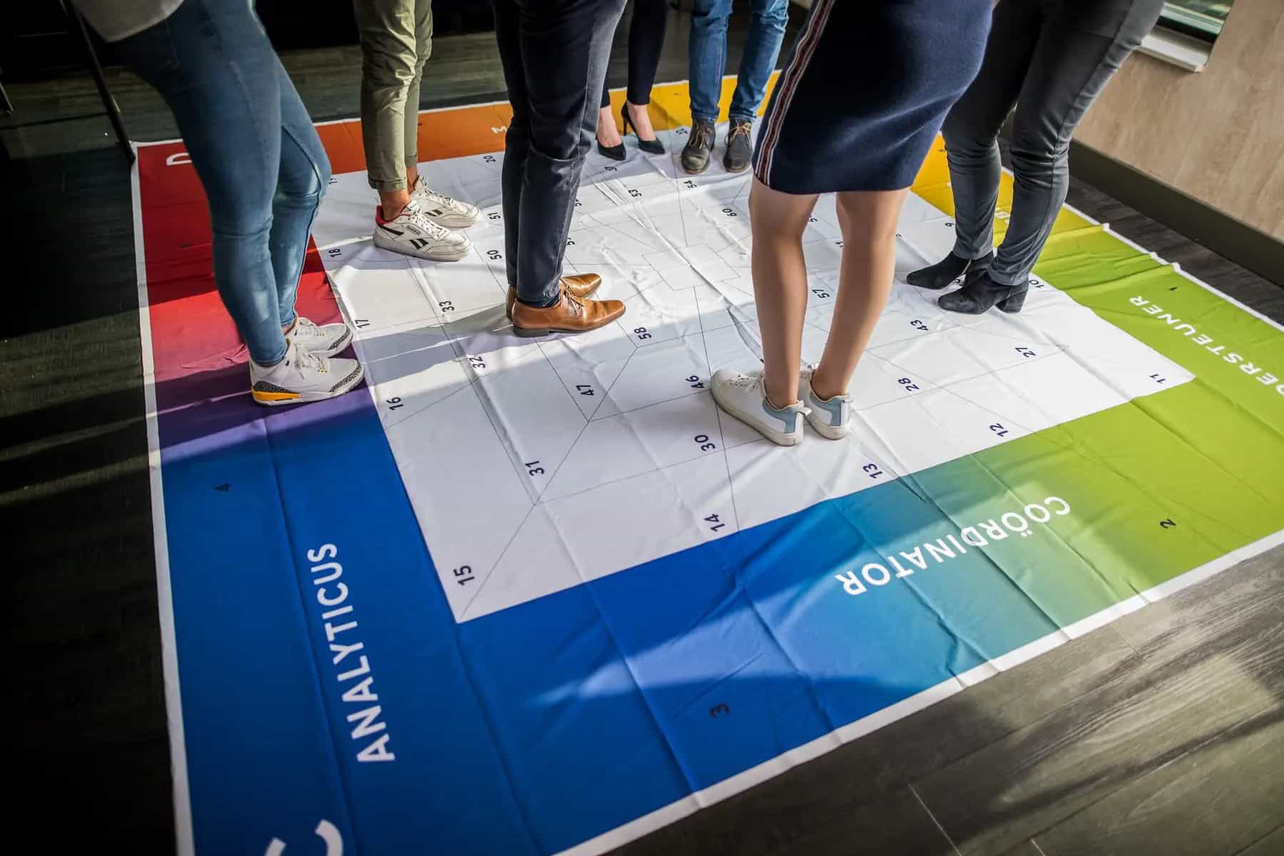 DISC Teammat HRM Profielen