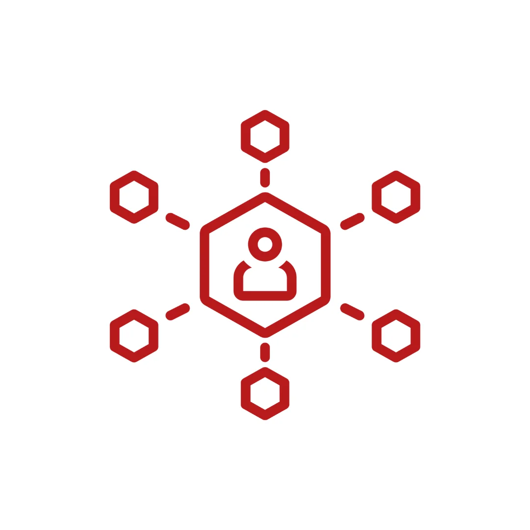 de kemerken van een rode disc gedragsstijl hrm profielen.png