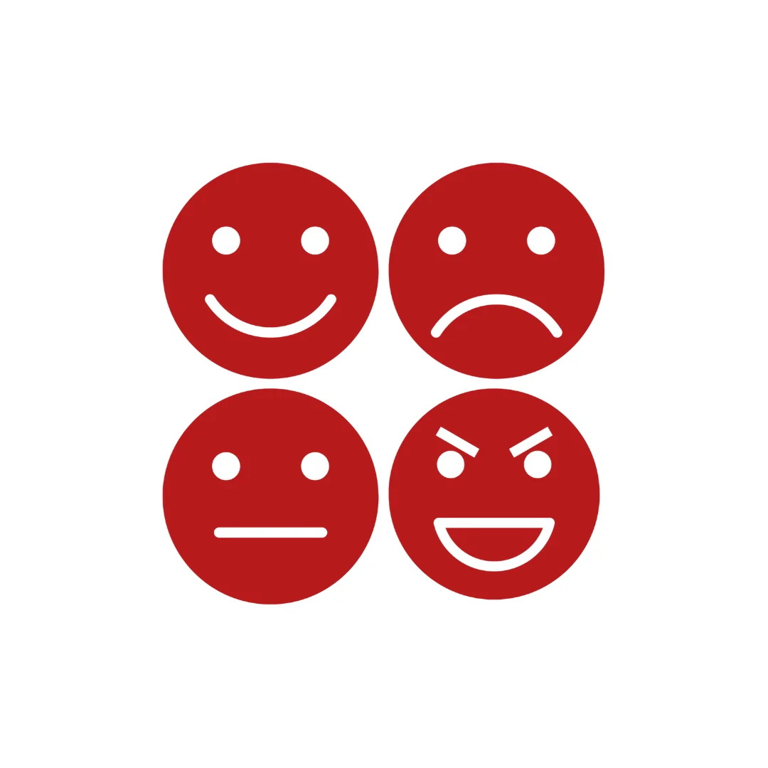 hoe komt de rode gedragstijl over hrm profielen.png