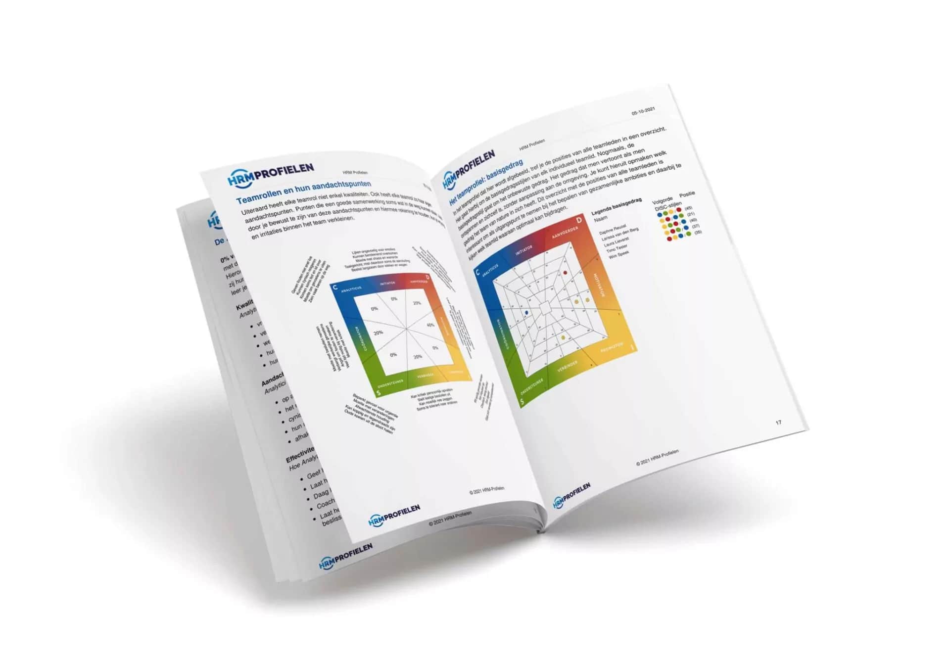 Teamananlyse DISC HRM Profielen